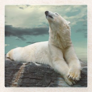 Posavasos De Vidrio Cazador blanco del oso polar en roca