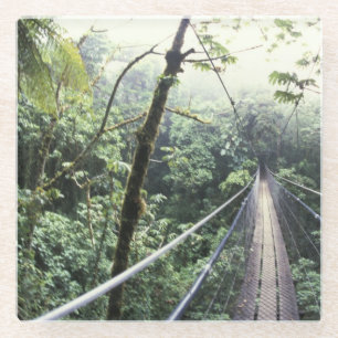 Posavasos De Vidrio Centroamérica, Costa Rica, Monteverde Cloud
