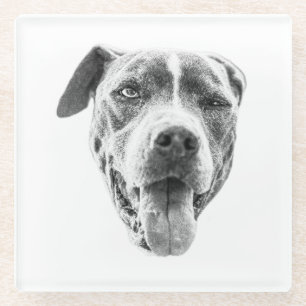 Posavasos De Vidrio Chilly Dusk Canine Echo