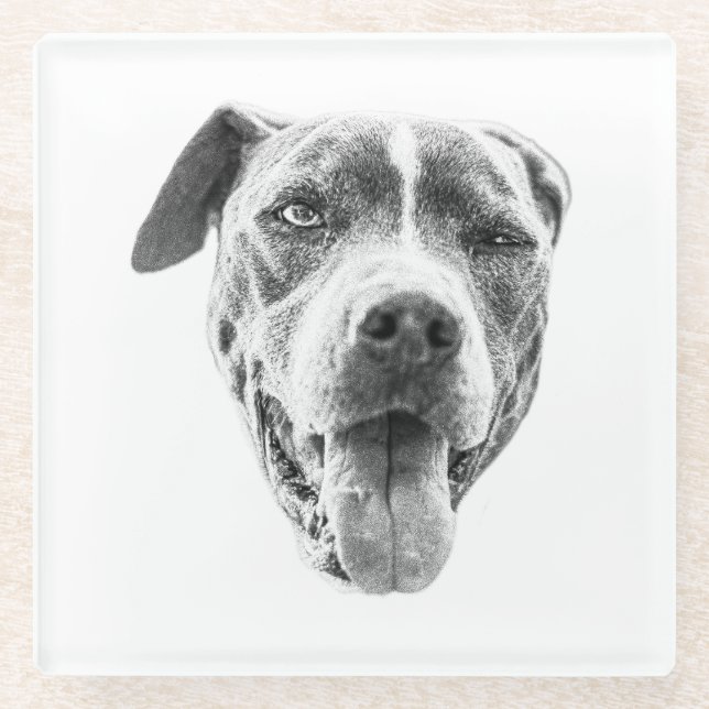 Posavasos De Vidrio Chilly Dusk Canine Echo (Anverso)