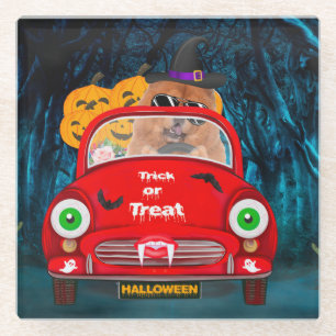 Posavasos De Vidrio Chow Chow Perro Conductor Coche Asustado Halloween