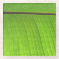 Cierre de la hoja de plátano