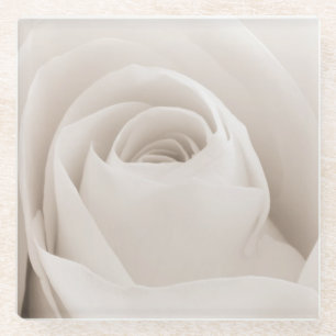 Posavasos De Vidrio Ciérrese para arriba de los pétalos color de ros