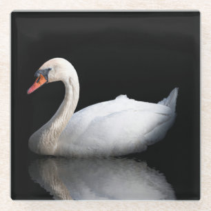 Posavasos De Vidrio cisne blanco sobre negro