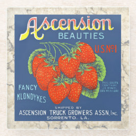 Posavasos De Vidrio COASTER - Bellezas de ascensión - Producir etiquet