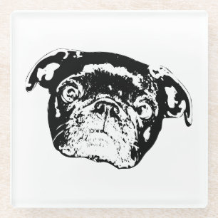 Posavasos De Vidrio Coaster de reunión de Pug brillante