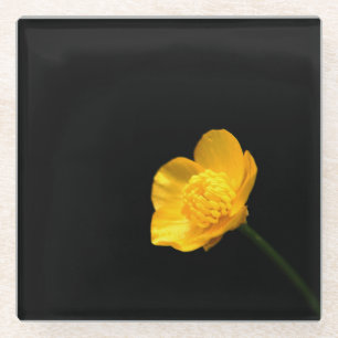 Posavasos De Vidrio Coasterca de flor de mariposa