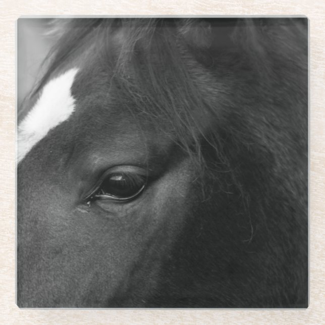 Posavasos De Vidrio Coasterca equina (Anverso)