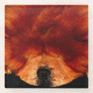 Posavasos De Vidrio Coastercino de Chow Chow durmiente