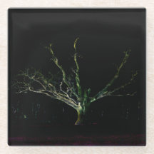 Coastercna del lado oscuro 1