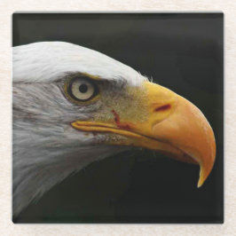 Posavasos De Vidrio Coastercnm de águila calva