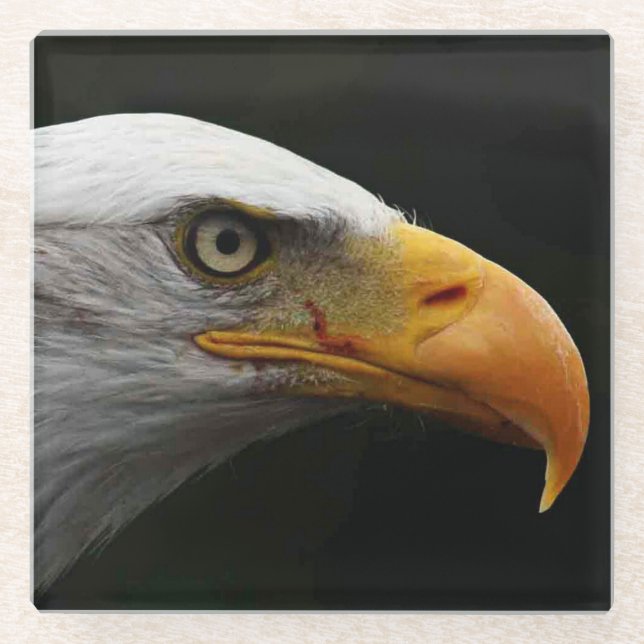 Posavasos De Vidrio Coastercnm de águila calva (Anverso)