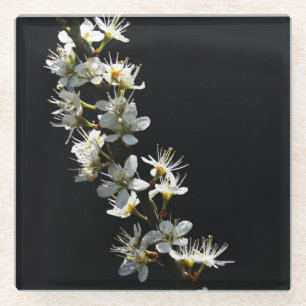 Posavasos De Vidrio Coastercnm de las flores de Hawthorn