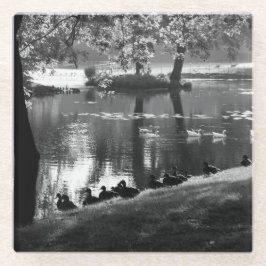 Posavasos De Vidrio Coastercnm de Park Life