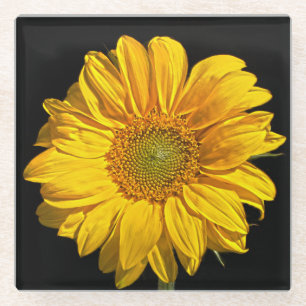 Posavasos De Vidrio Coasterisco de girasol
