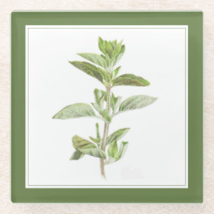 Posavasos De Vidrio Cocina de bebidas de vidrio de OREGANO FRESCO (-te