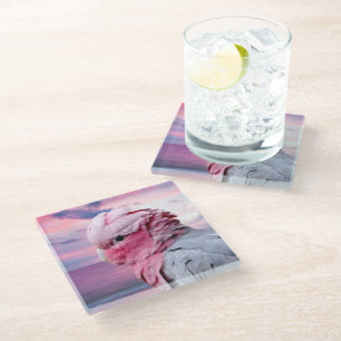 Posavasos De Vidrio Cockatoo de Galah