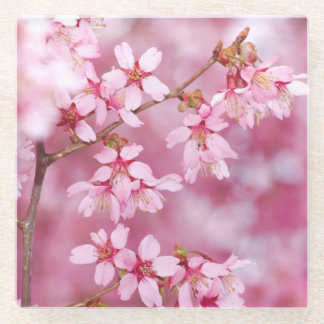 Posavasos De Vidrio Codificador de vidrio rosado