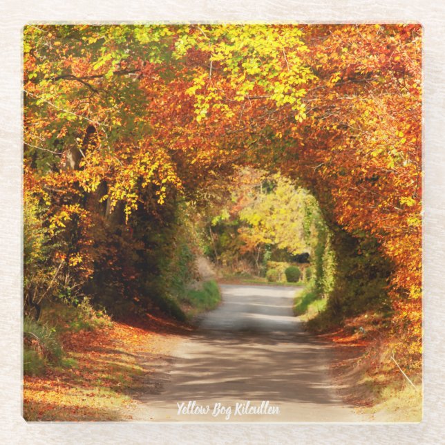 Posavasos De Vidrio Colas de vidrio de yellow Bog Kilcullen (Anverso)