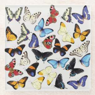 Posavasos De Vidrio Colección de mariposas vintage realista.