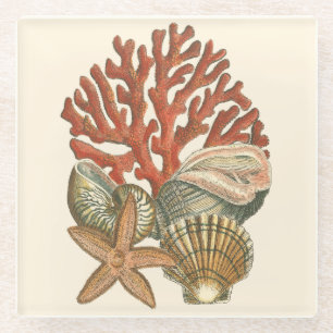 Posavasos De Vidrio Colección de Sealife