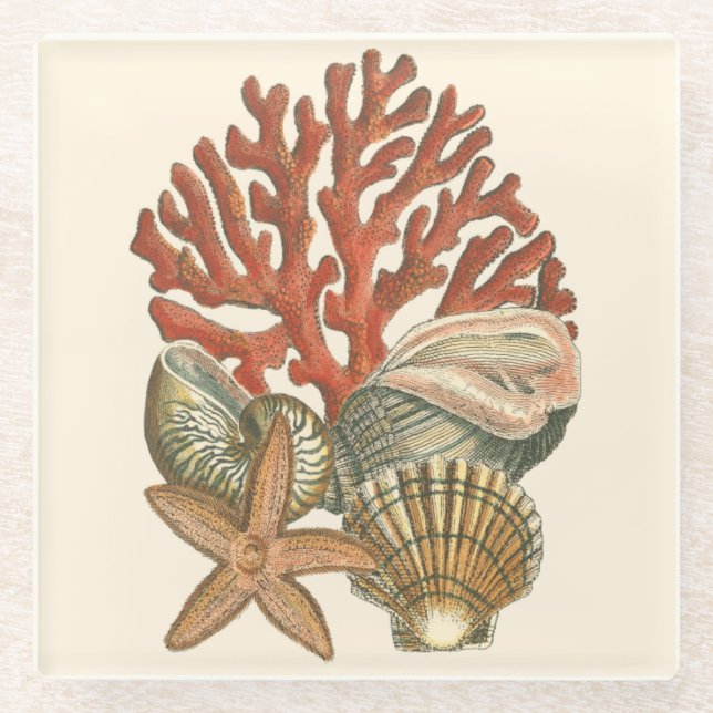 Posavasos De Vidrio Colección Sealife (Anverso)