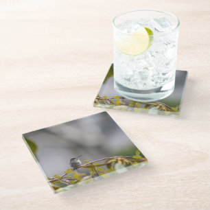 Posavasos De Vidrio Colibrí 3346