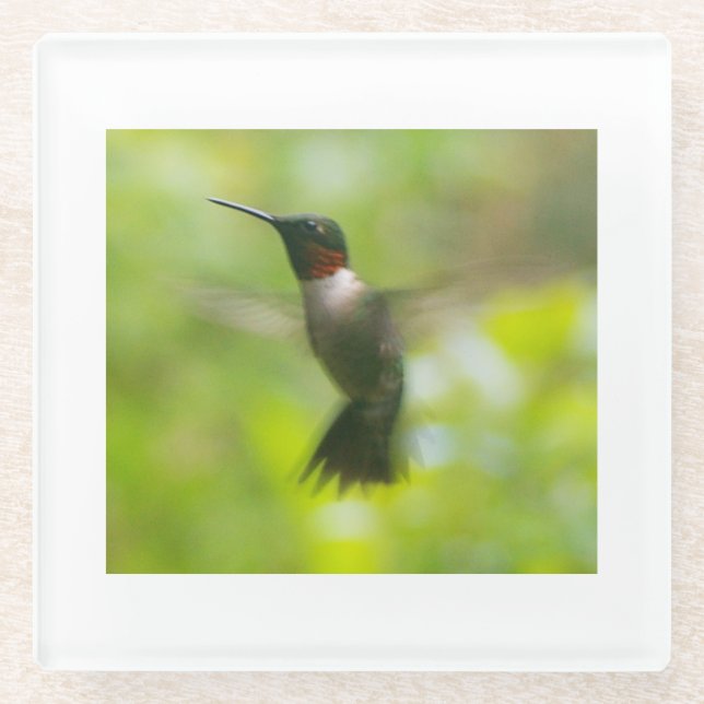 Posavasos De Vidrio Colibrí Garganta Rubí Macho (Anverso)