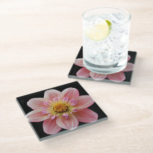 Posavasos De Vidrio Collarette rosa Dahlia en floral negra