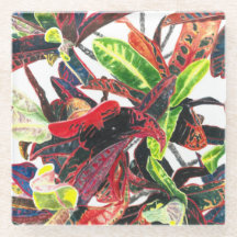 Color de agua vibrante único de follaje