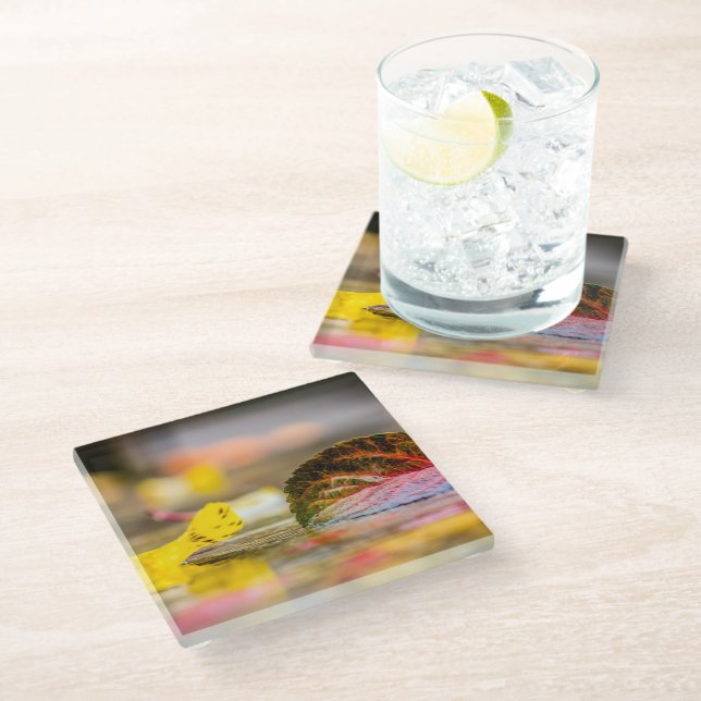 Posavasos De Vidrio Colores de caída (Angular)