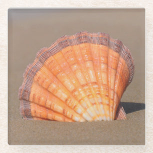 Posavasos De Vidrio Concha de peregrino el Shell  Creta, Grecia