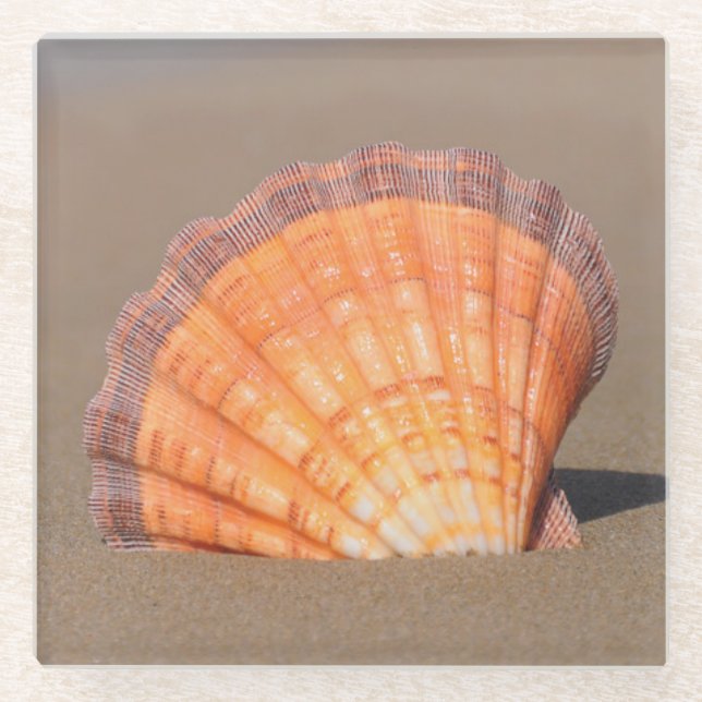 Posavasos De Vidrio Concha de peregrino el Shell| Creta, Grecia (Anverso)