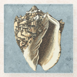 Posavasos De Vidrio Concha encallada