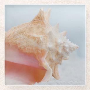 Posavasos De Vidrio Concha Shell el   la Florida