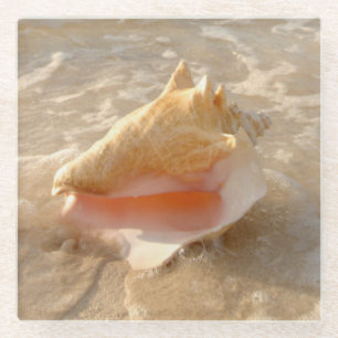 Posavasos De Vidrio Concha Shell en arena en la playa tropical