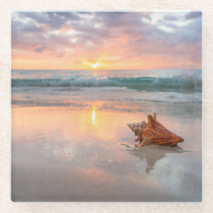 Posavasos De Vidrio Concha Shell en la playa el Jamaica