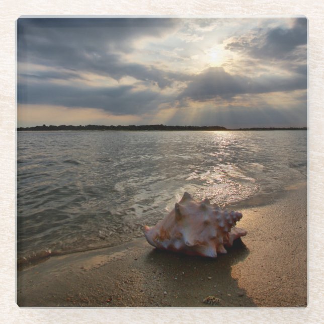 Posavasos De Vidrio Concha Shell en la playa el | St Augustine, la (Anverso)