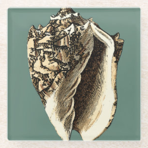 Posavasos De Vidrio Concha verde azulada Shell