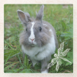 Posavasos De Vidrio Conejo de conejo