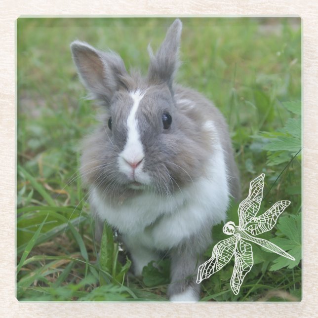 Posavasos De Vidrio Conejo de conejo (Anverso)