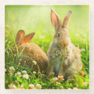 Posavasos De Vidrio Conejos de Pascua