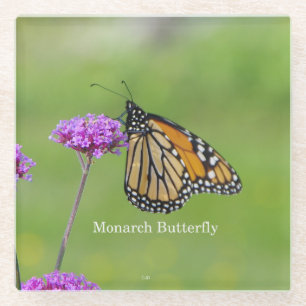 Posavasos De Vidrio Copas de vidrio de mariposa monarca