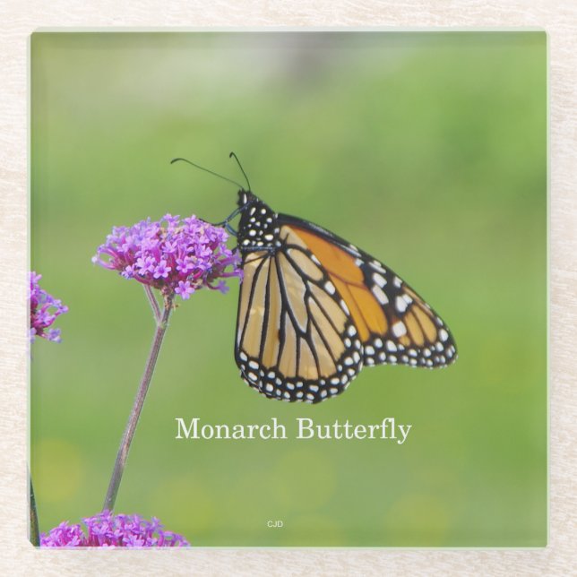 Posavasos De Vidrio Copas de vidrio de mariposa monarca (Anverso)