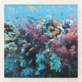 Posavasos De Vidrio Coral rosado