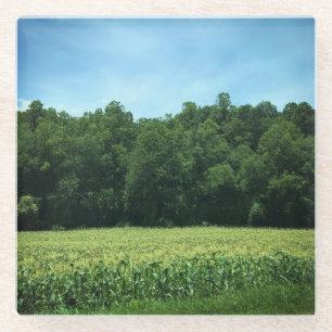Posavasos De Vidrio Cornfield en la Carolina del Norte Poster Magnet K