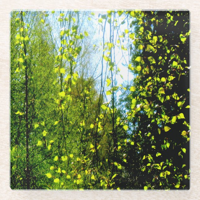 Posavasos De Vidrio Cortina de verano (Anverso)