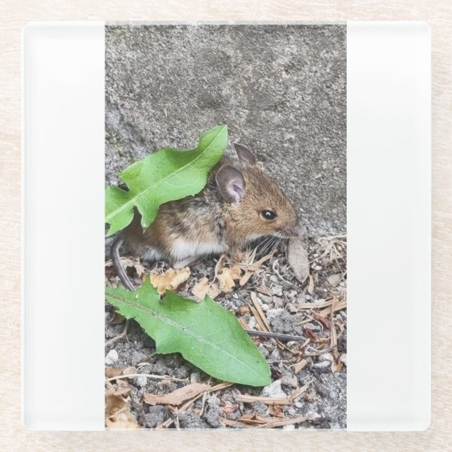 Posavasos De Vidrio Cosster de Firld (Anverso)