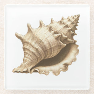 Posavasos De Vidrio Costero/playa/concha náutica