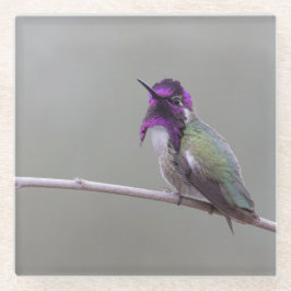 Posavasos De Vidrio Costura costarricense